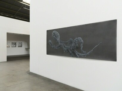 Lynn Hanson's Wrack & Bramble, Exhibition view. Courtesy of Lora Schlesinger Gallery