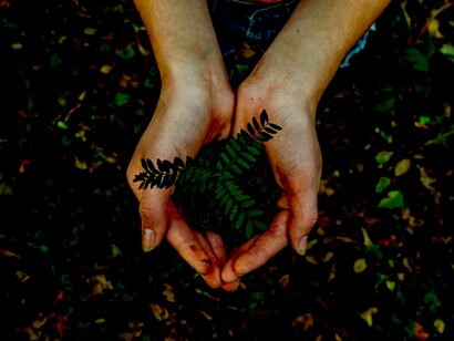 Sostenibilidad o barbarie