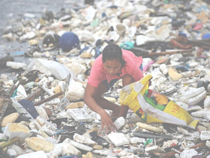 Molte specie di piante e animali hanno colonizzato i detriti in comunità che sono state definite neopelagiche