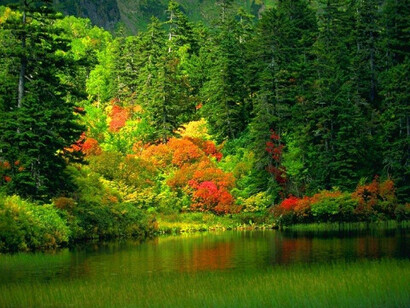 Il ritmo delle stagioni