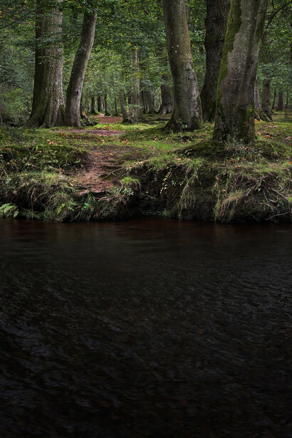 Detail of Ellie Davies ‘Half Light 11’, 2016