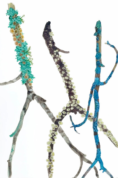 Katie De Groot, After mr. natural. Courtesy of Cross Contemporary Art