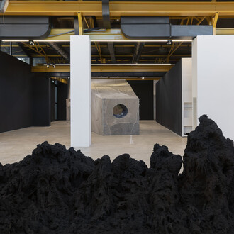 Gabriele Silli, Immenso spermatozoo sottomarino (Immense submarine spermatozoon), vista della mostra. Cortesia di D’Arc Foundation