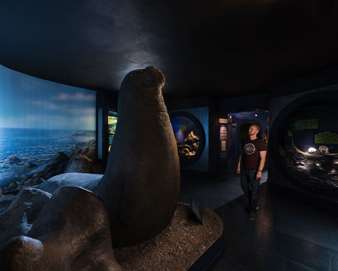 The world of Oceans. Courtesy of Haus der Natur 
