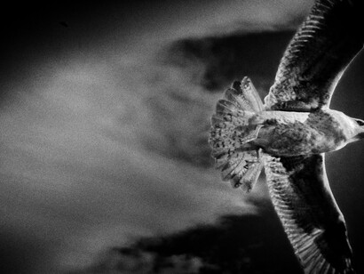 Eamonn Doyle, ON-06, 2014, Archival pigment print, 40 x 60 cm, Edition of 7, Signed and numbered on verso