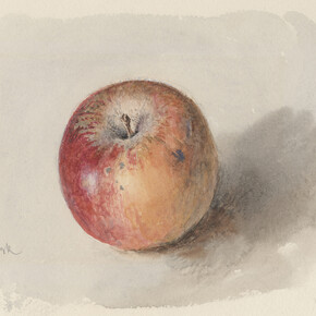 John Ruskin, Blenheim Orange Apple c.1873, Watercolour and bodycolour on heavyweight white wove watercolour paper; 11.7 x 16.5 cm (sight), Private collection