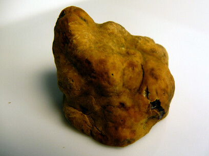 White truffle - Tartufo Bianco © Blue moon in her eyes on Flickr