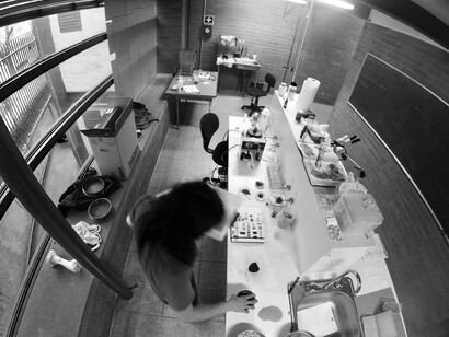 Temporal. Courtesy of MUAC