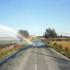 Viaggio in Italia. Courtesy of Museo di Fotografia Contemporanea
