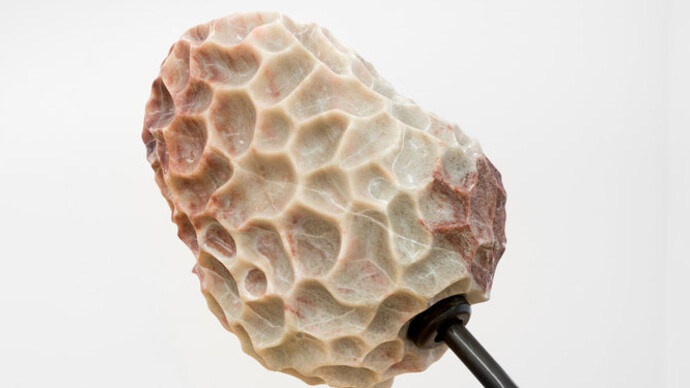 But both are sensitive. Courtesy of Projet Pangée