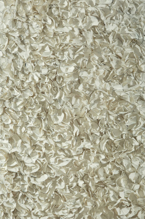 Barbara Hirsch. Courtesy of Madelyn Jordon Fine Art