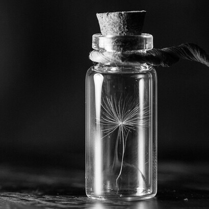 It's time to get beyond the war between capitalism, communism, socialism, libertarianism and all these over-simplifying ideologies of “left“ and “right”