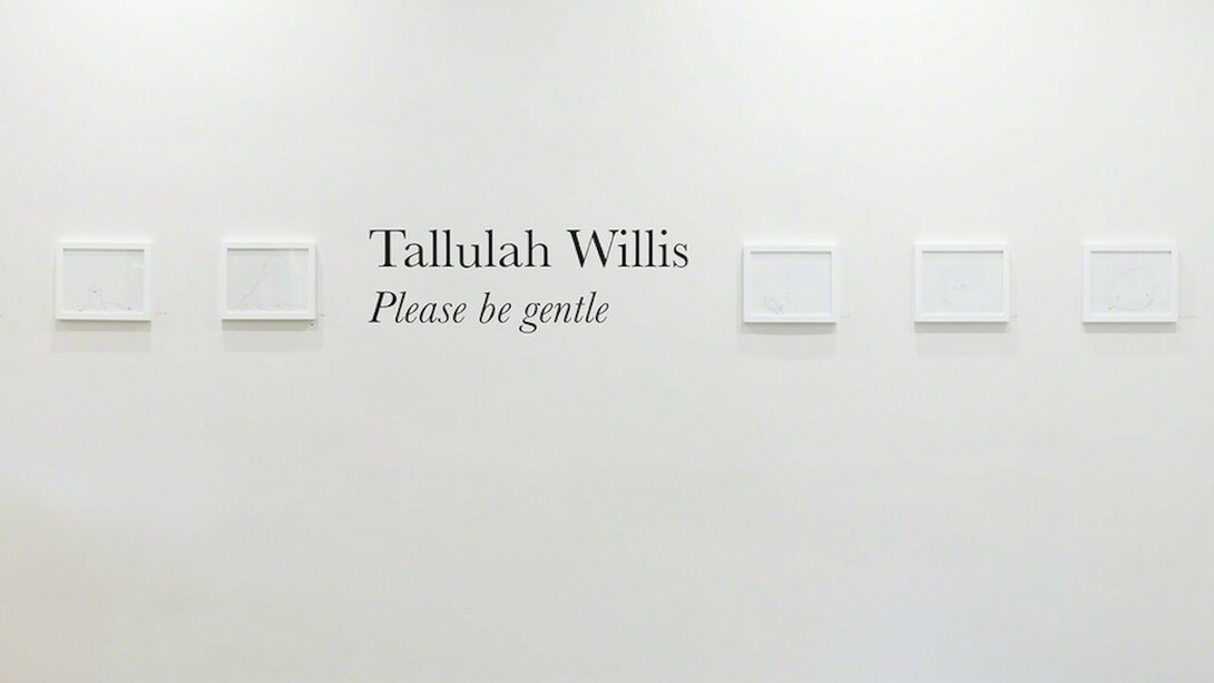 Tallulah Willis. Please be gentle, exhibition view. Courtesy of Eric Buterbaugh Gallery