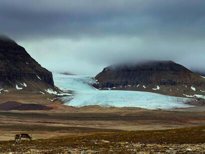 Tundra artica e ghiacciai