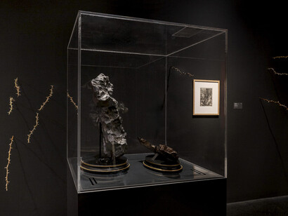 The world without us, exhibition view. Courtesy of Lentos Kunstmuseum