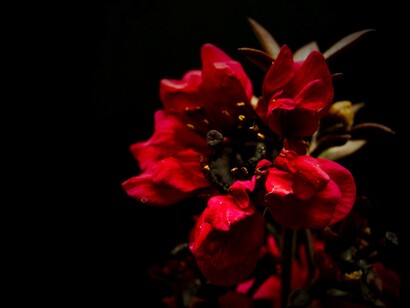 E quel profumo che non riesco a definire a parole