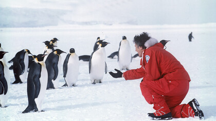 Claudio Speranza incontra i pinguini imperatore, Tethys Bay 1990 © Claudio Speranza