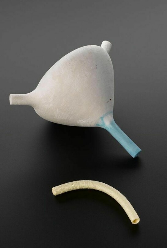 3D printed bladder and blood vessel, credit Science Museum