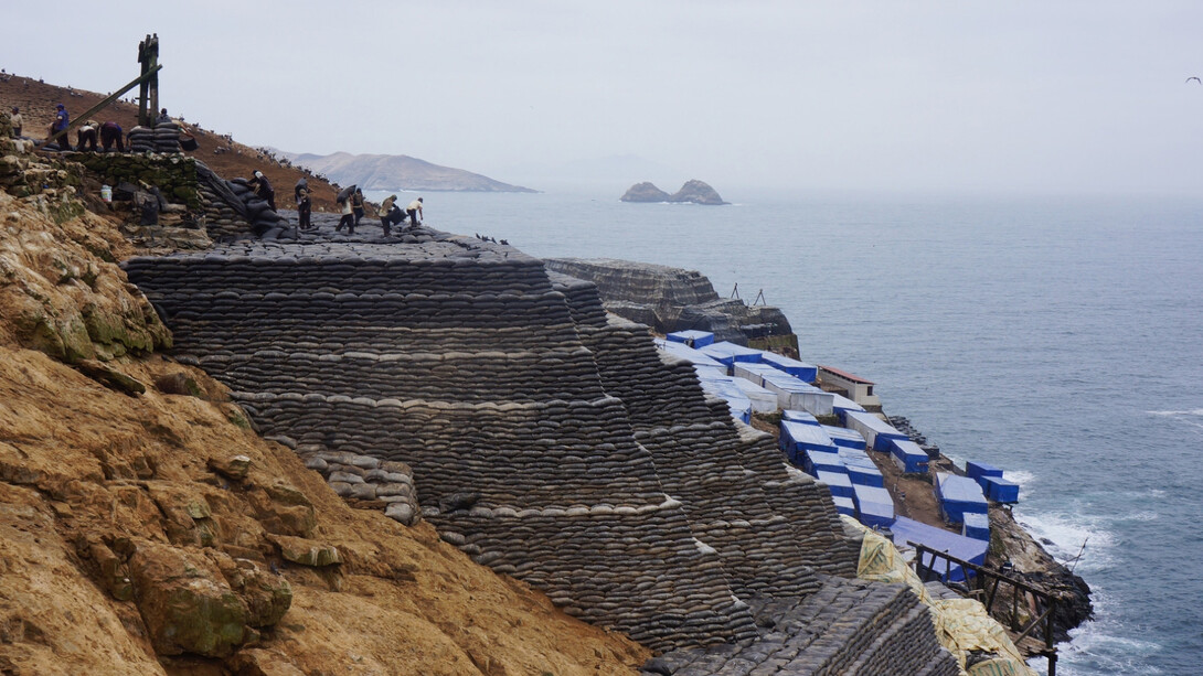 Dinh Q. Lê. The Colony. Courtesy of Museum Boijmans Van Beuningen 