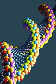 The movement of DNA in 3D