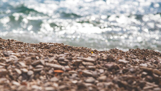 Che cos'è la poesia?