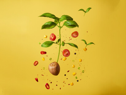 Caloric restriction is the only nutritional intervention proven to potentially abate aging