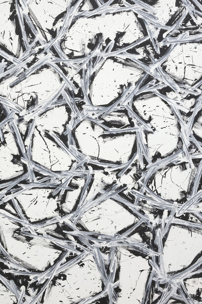 Gianni Asdrubali, Zaborra (dettaglio), 2009. Per gentile concessione di A arte Invernizzi, Milano. Foto di Bruno Bani, Milano 