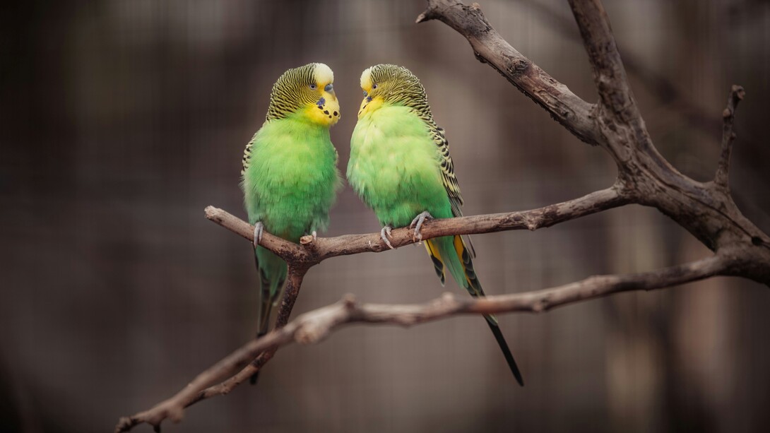 Tonio mi aveva raccontato del suo passato e si sfogava per tirare avanti qualche altro giorno, fino a quando si presentava un nuovo problema e lui ricadeva in una classica crisi depressiva