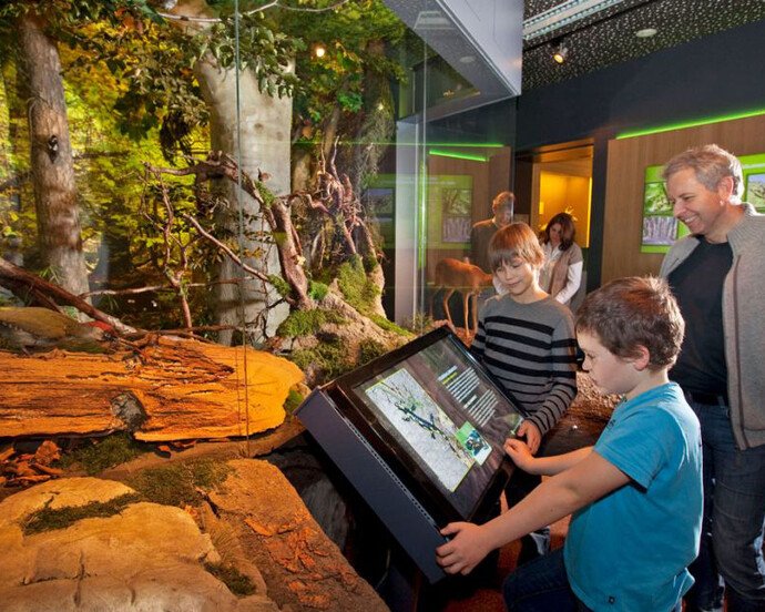Habitats Diorama. Courtesy of Haus der Natur 