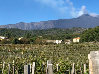 Vineyards in the foreground of Mount Etna in Sicily, Italy