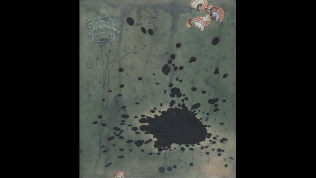 Tanja Softić. Courtesy of Reynolds Gallery