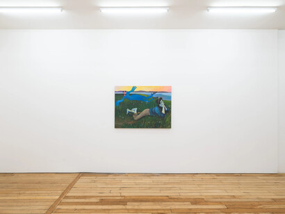 Joshua Petker, Artaud’s shoe, exhibition view. Courtesy of Rachel Uffner Gallery 