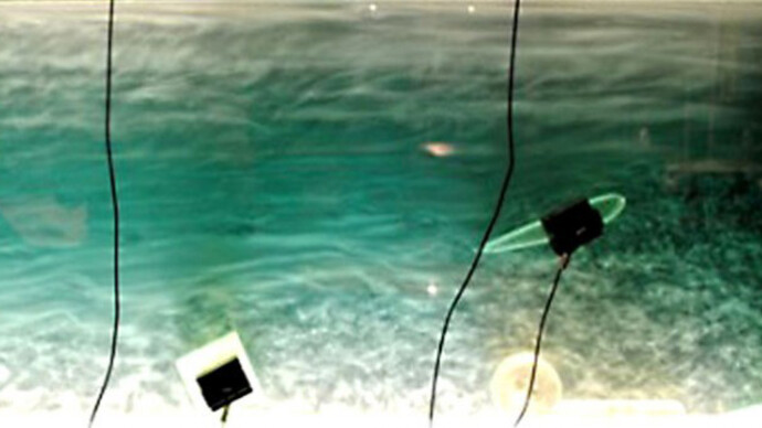 Water and How It Moves. Courtesy of Montshire Museum of Science