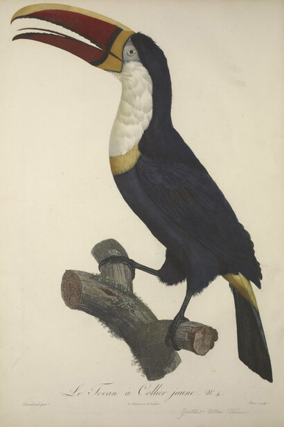 Rebeca Méndez. Courtesy of Cooper Hewitt