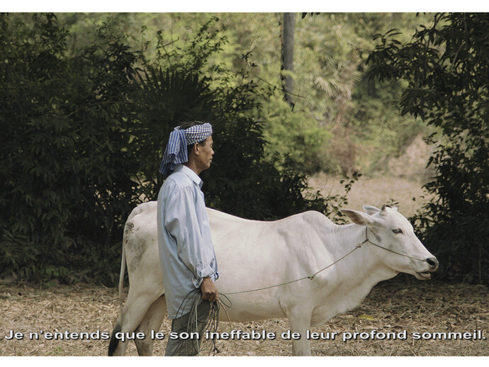 Vandy Rattana, Vidéo HD, 16/9 couleur, son, 18 min 55 s. Coproduction : Jeu de Paume, Paris, Fondation Nationale des Arts Graphiques et Plastiques et CAPC musée d'art contemporain de Bordeaux. Courtesy de l’artiste © Vandy Rattana, 2015