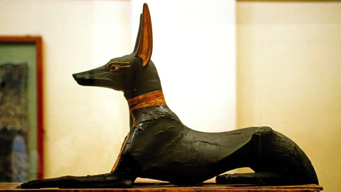 Tutankhamon, 100 anni di misteri. Courtesy of Palazzo Zaguri