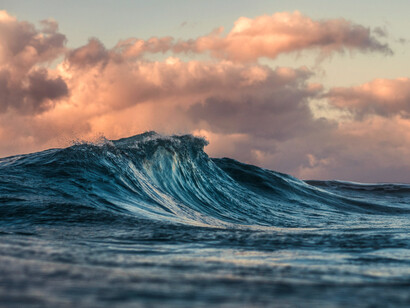 Como las olas del mar Caribe —siempre cálidas, atacan sin avisar—, van y vienen, unas más altas otras más bajas
