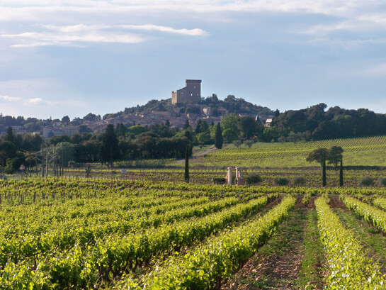 Châteauneuf-du-Pape, Francia meridionale