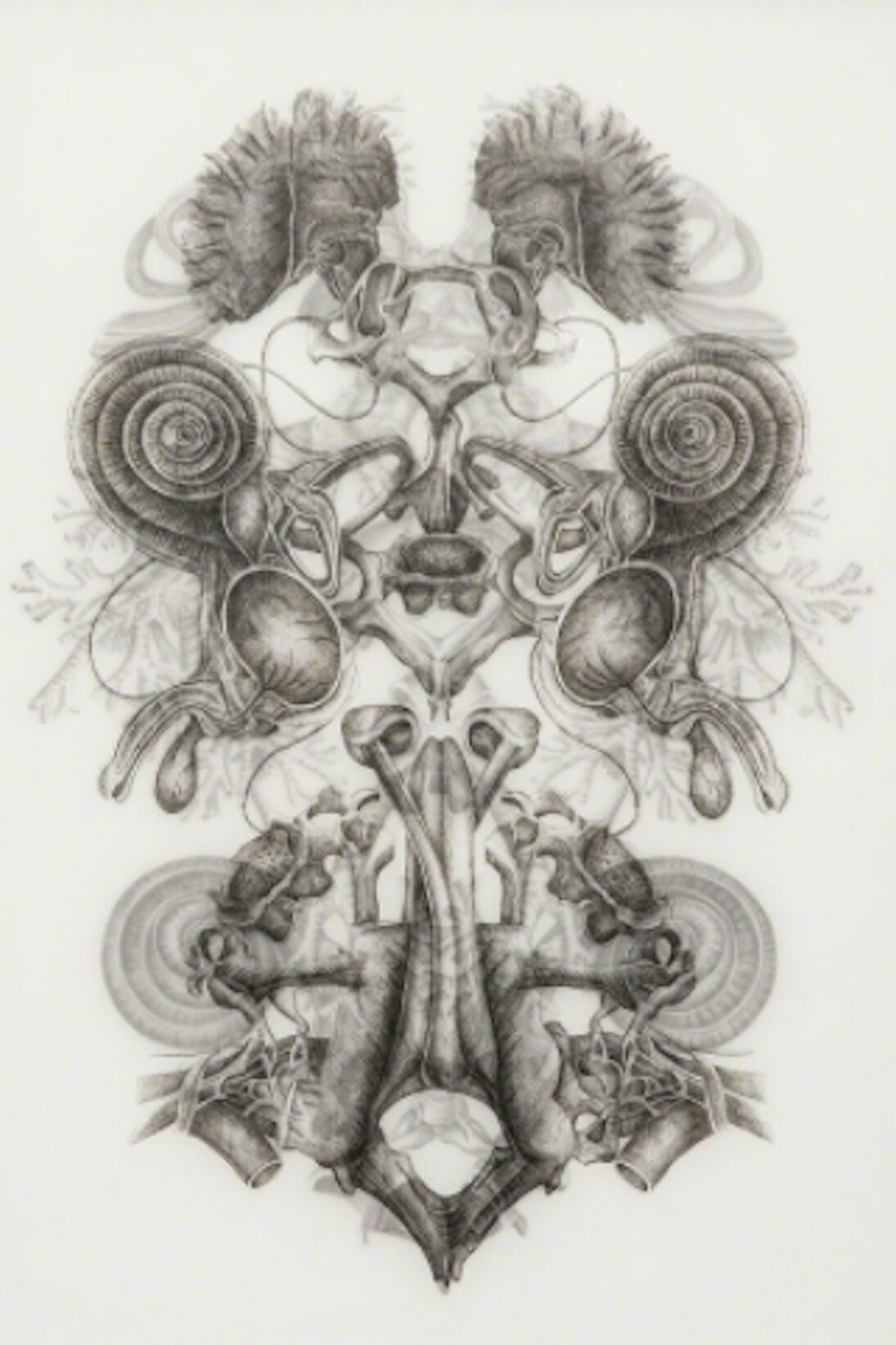 The Afterlife of Rosy Leavers. Courtesy of Blindspot Gallery