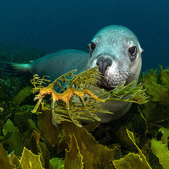 Planet ozean, ausstellungsansicht. Mit freundlicher genehmigung des Gasometers