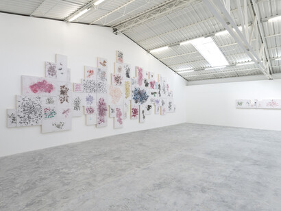 Tercerunquinto, Exhibition view. Courtesy of Proyectos Monclova