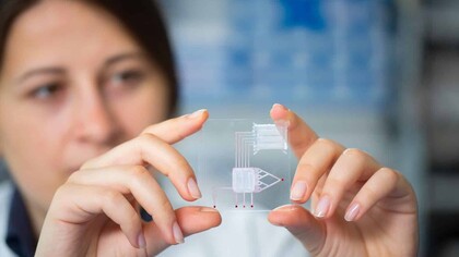 Body on chip, costruire un corpo umano in piena regola