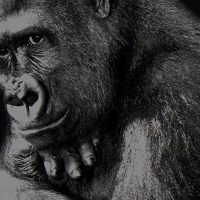 Isabel Muñoz. Platinotipias. Courtesy of N2