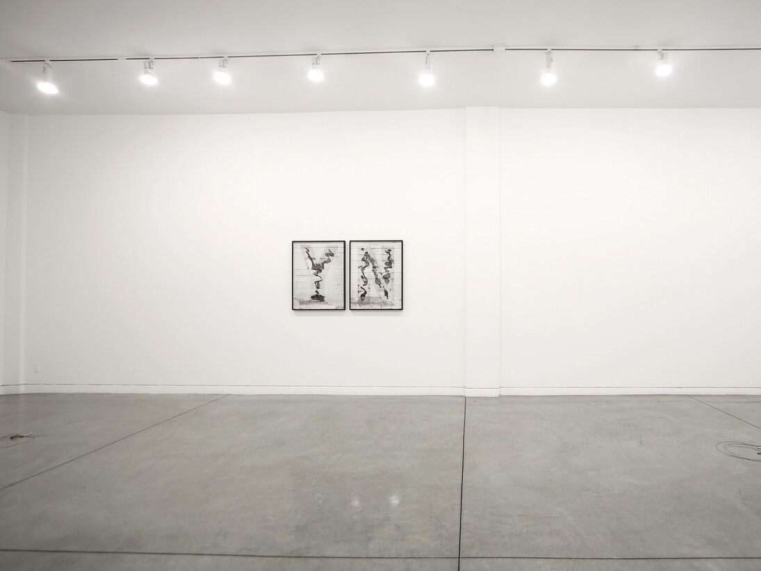 Of Echo Systems, 2016 
Installation view, Altman Siegel, San Francisco, 
Courtesy of the artists and Altman Siegel, San Francisco
