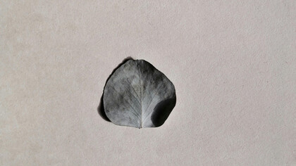 Descubra como os desafios do amor podem nos ensinar sobre equilíbrio e crescimento pessoal