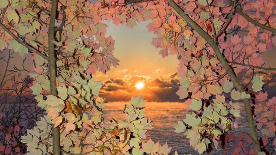 Kang Hee Kim. Courtesy of Benrubi Gallery