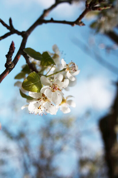 Siamo tutti connessi e ogni nostra scelta incide in qualche modo anche su altri piani, foto Valeria Nardi