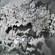 Ear to the Ground. Courtesy of NOMA