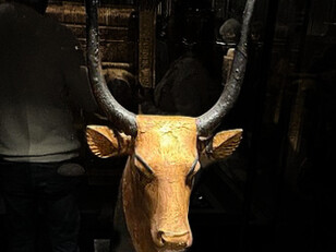 Gilded wood and bronze head of the Mehet-Weret cow goddess (or celestial cow) from the tomb of Tutankhamun, on display at the Egyptian Museum in Cairo, Egypt