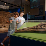 Ancient seas and reef, exhibition view. Courtesy of Queensland Museum Tropics